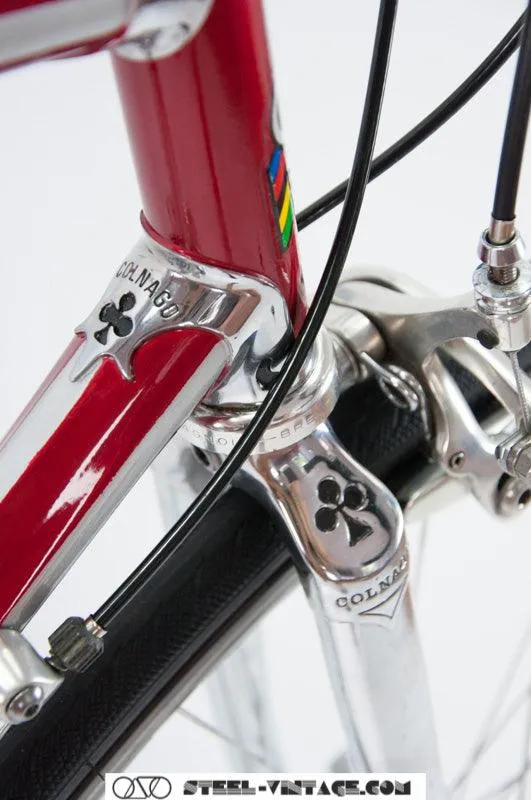 Colnago Master Piu Classic Bike