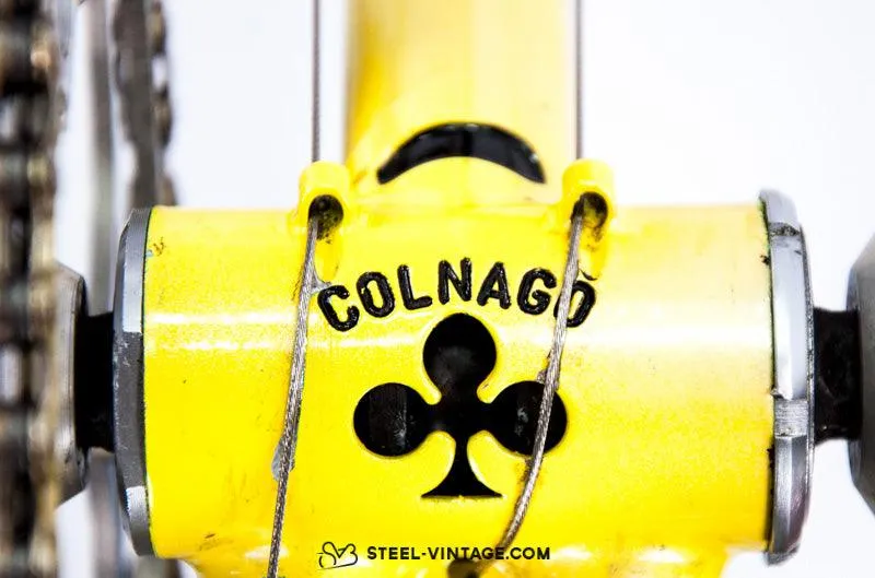 Colnago Super Vintage Road Bicycle 1980s