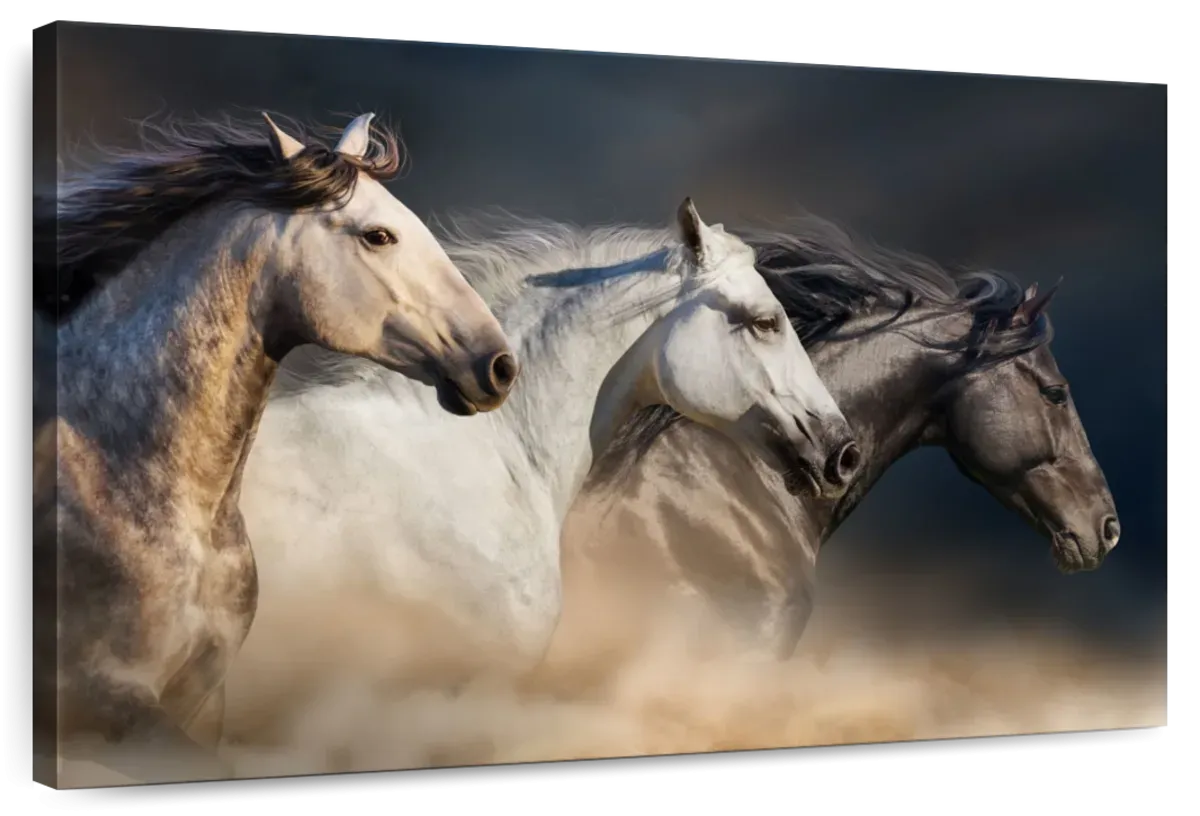 Magnificent Horses Wall Art