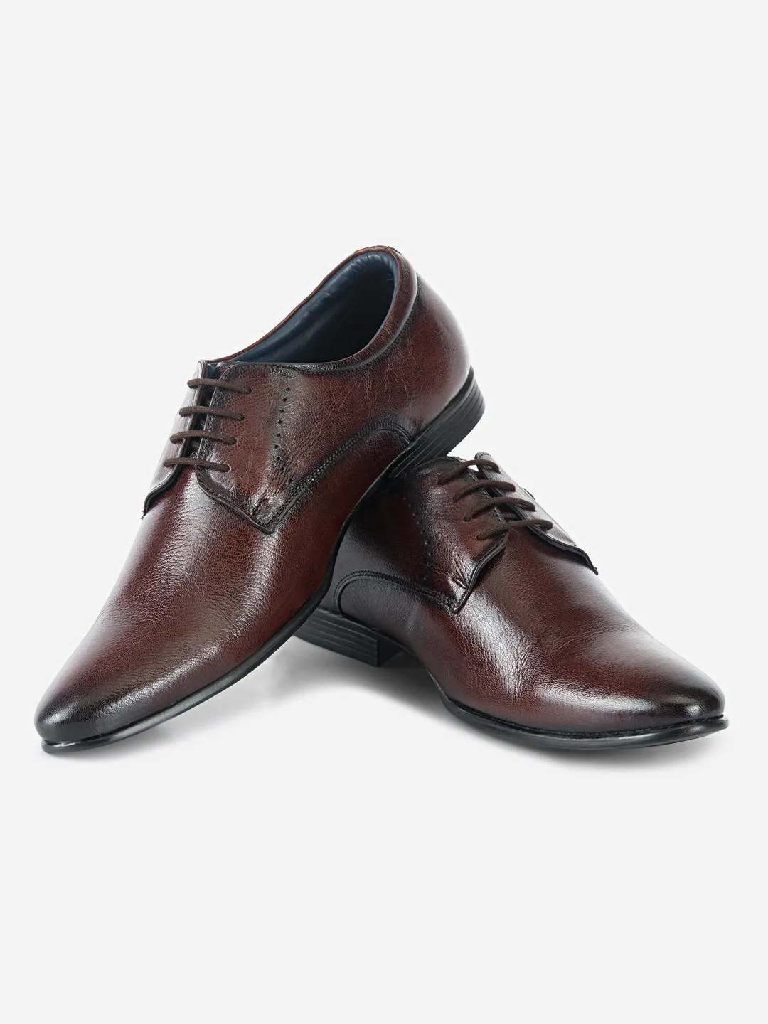 Men's Wine Two Tone Regular Toe Lace Up Formal (ID2186)