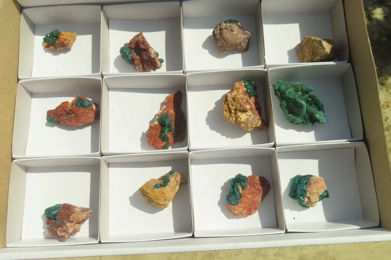 Natural Dioptase On Dolomite Specimens x 12 From Likasi, Congo