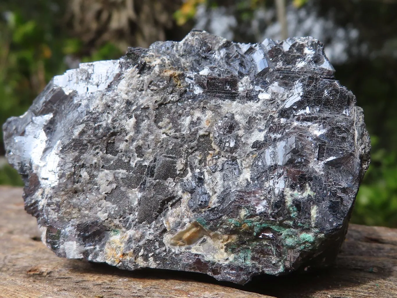 Natural Rare Silver Lead Galena Specimens x 7 From Namibia