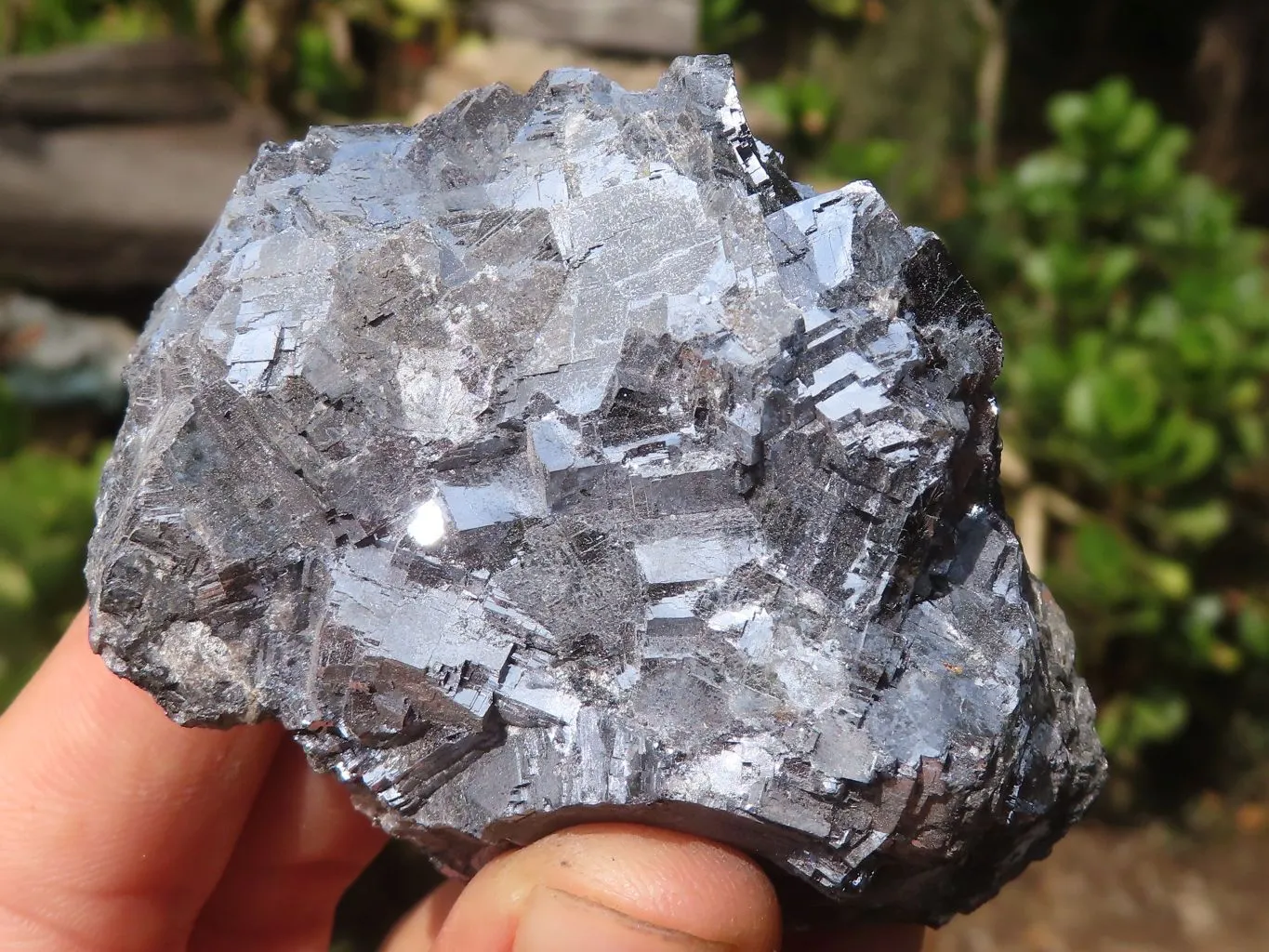 Natural Rare Silver Lead Galena Specimens x 7 From Namibia