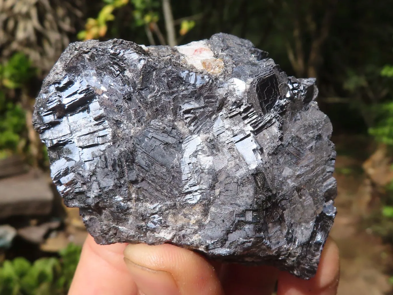 Natural Rare Silver Lead Galena Specimens x 7 From Namibia