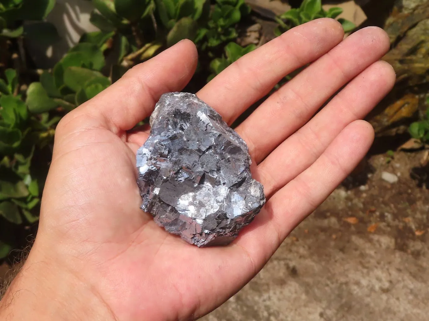 Natural Rare Silver Lead Galena Specimens x 7 From Namibia