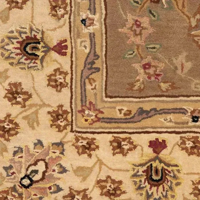 Nourison 2000 2003 Olive Rug