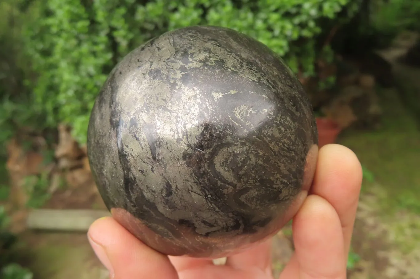 Polished Pharaoh Stone Spheres x 2 From Zimbabwe