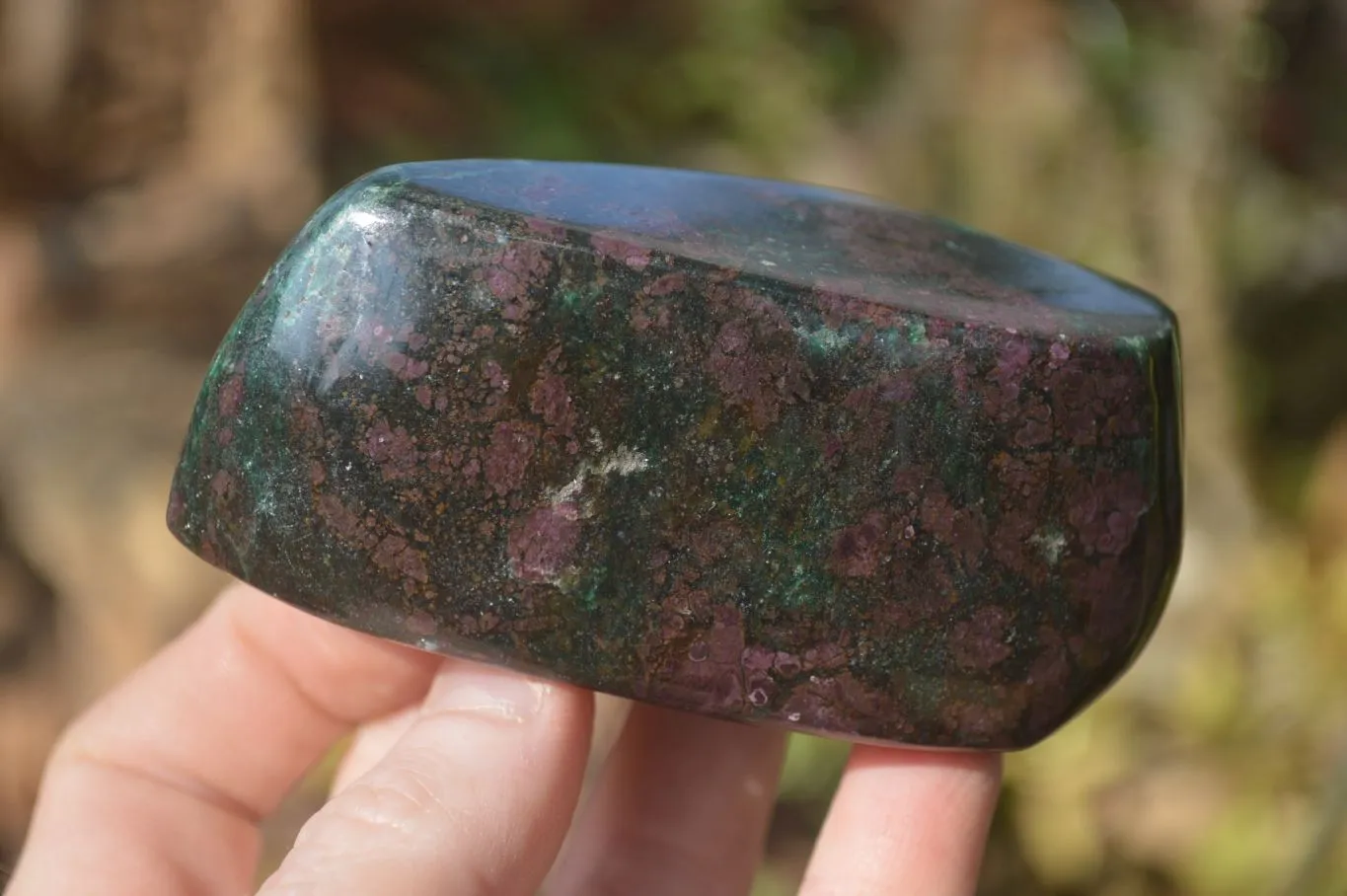 Polished Ruby Corundum In Chrome Verdite Free Forms x 4 From Zimbabwe