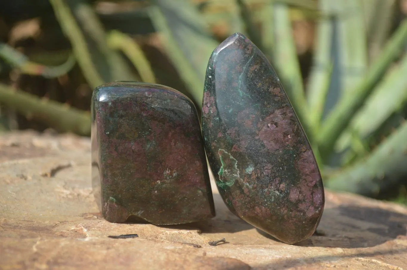 Polished Ruby Corundum In Chrome Verdite Free Forms x 4 From Zimbabwe