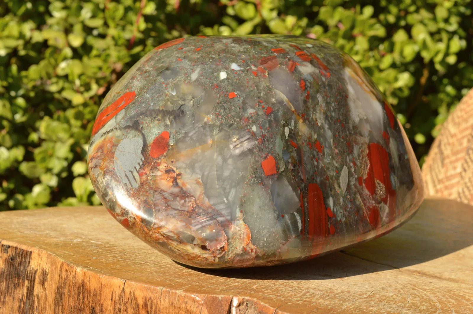 Polished XXL Bloodstone (Seftonite) Standing Free Form With Pyrite Specks  x 1 From Swaziland