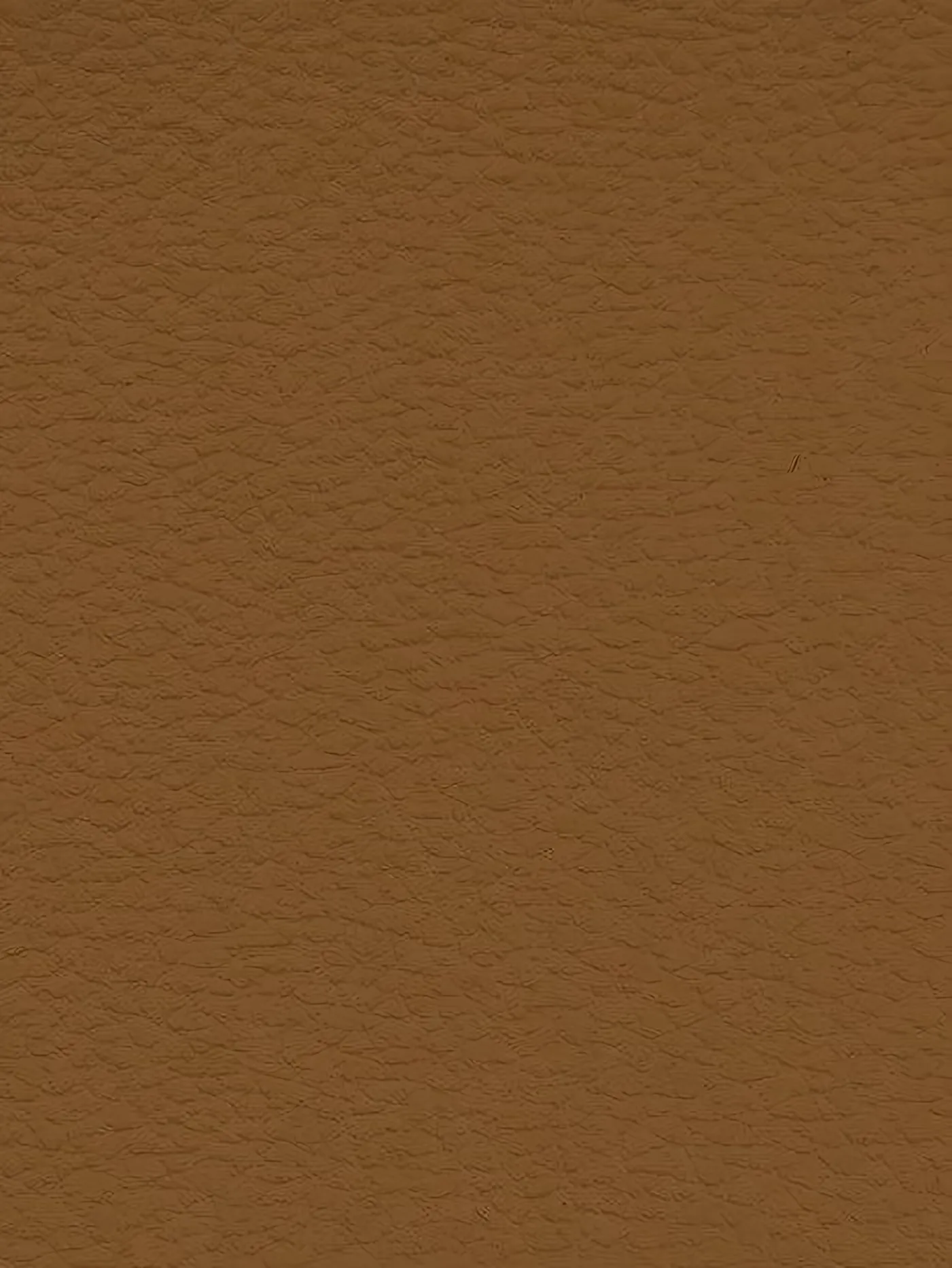 RUST Premium Auto & Contract Vinyl - Palma Vinyl