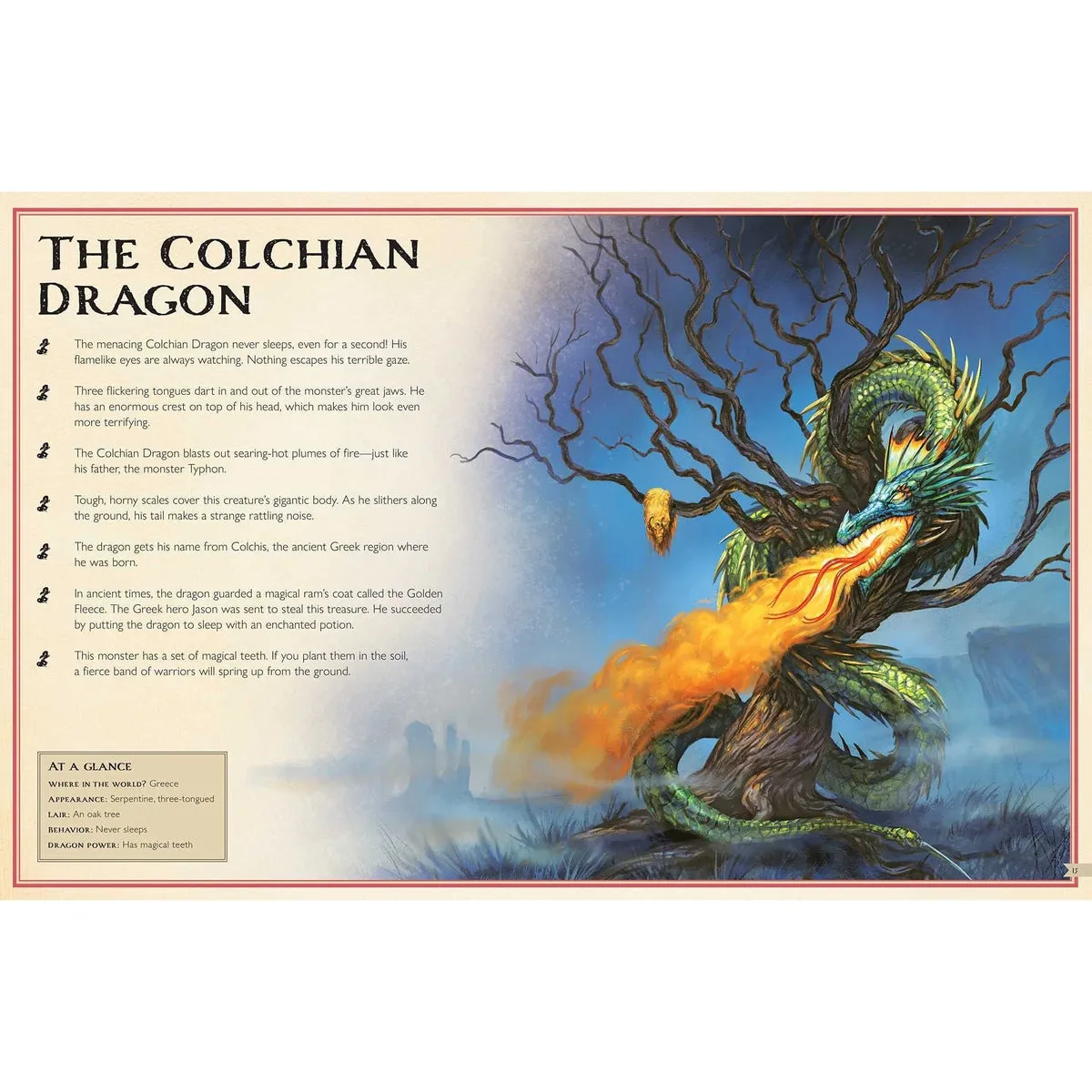 the magnificent book of dragons